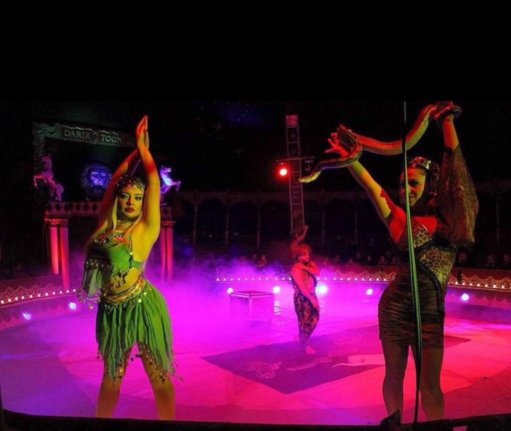 What We Offer Glitz and Glam Entertainment